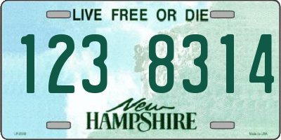 NH license plate 1238314