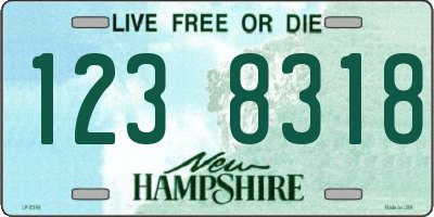 NH license plate 1238318