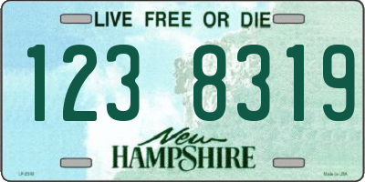 NH license plate 1238319