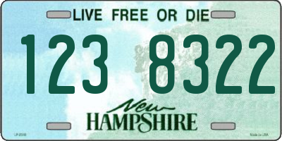 NH license plate 1238322