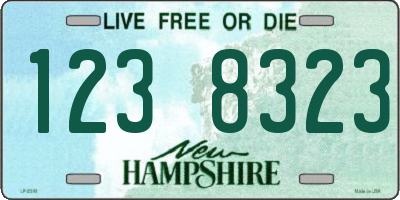 NH license plate 1238323