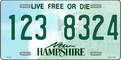 NH license plate 1238324