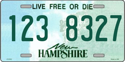 NH license plate 1238327