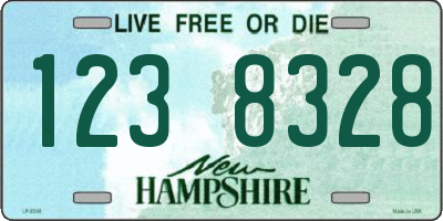 NH license plate 1238328