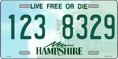 NH license plate 1238329