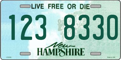 NH license plate 1238330
