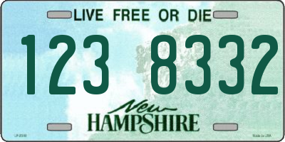 NH license plate 1238332