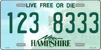 NH license plate 1238333