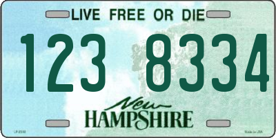 NH license plate 1238334