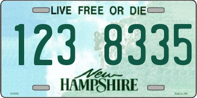 NH license plate 1238335