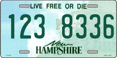 NH license plate 1238336