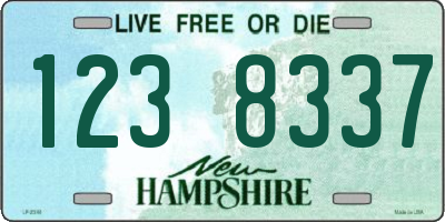 NH license plate 1238337