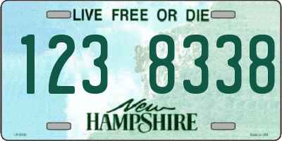 NH license plate 1238338