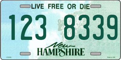 NH license plate 1238339
