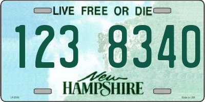 NH license plate 1238340