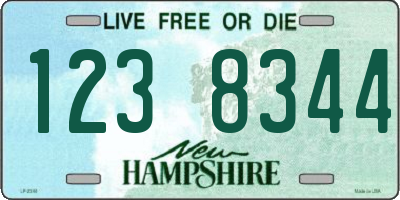 NH license plate 1238344