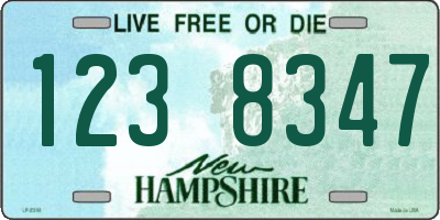 NH license plate 1238347