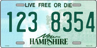 NH license plate 1238354
