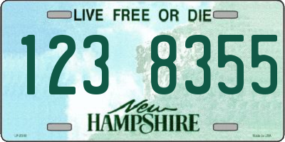 NH license plate 1238355