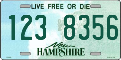 NH license plate 1238356