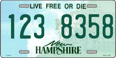 NH license plate 1238358