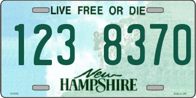 NH license plate 1238370