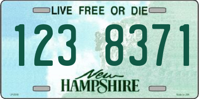 NH license plate 1238371