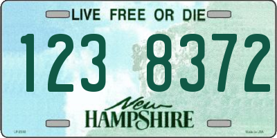 NH license plate 1238372