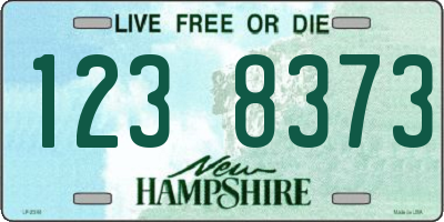 NH license plate 1238373