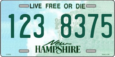 NH license plate 1238375