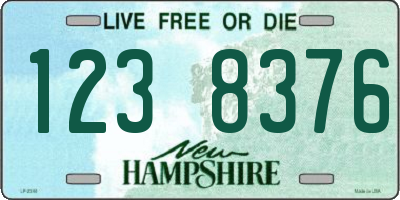NH license plate 1238376