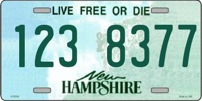 NH license plate 1238377