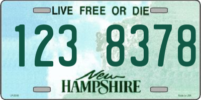 NH license plate 1238378