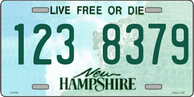 NH license plate 1238379