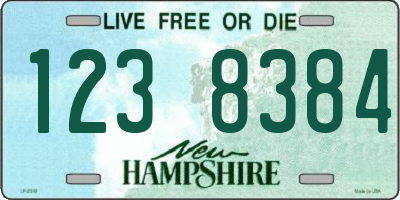 NH license plate 1238384
