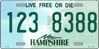 NH license plate 1238388