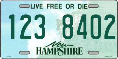NH license plate 1238402