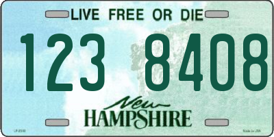 NH license plate 1238408