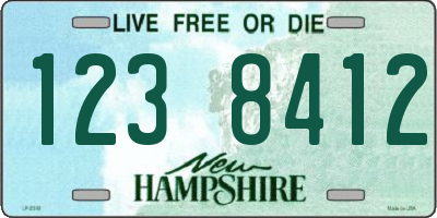 NH license plate 1238412