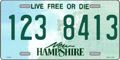 NH license plate 1238413