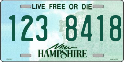NH license plate 1238418