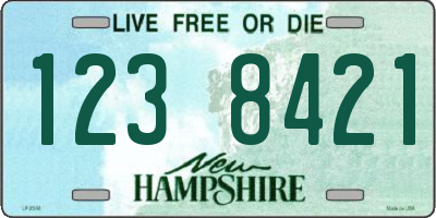 NH license plate 1238421