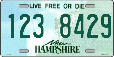 NH license plate 1238429
