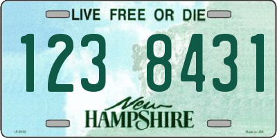 NH license plate 1238431