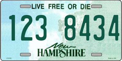 NH license plate 1238434