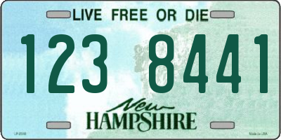 NH license plate 1238441
