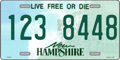 NH license plate 1238448