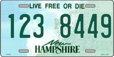 NH license plate 1238449