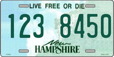 NH license plate 1238450