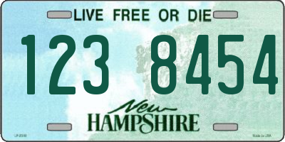 NH license plate 1238454